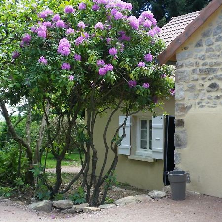 Le Cedre Enchante La Guiche Exteriér fotografie